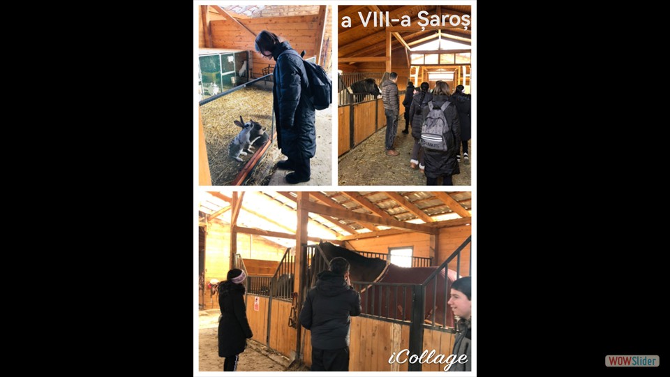 599945616_1420706573389132_3257228787889144280_n