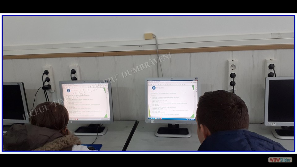 _SĂPTĂMÂNA VERDE_ - 26.04.2023 (File responses)_00004