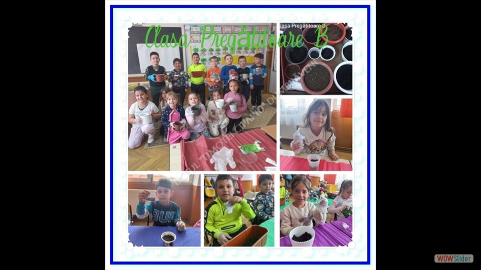 _SĂPTĂMÂNA VERDE_ - 26.04.2023 (File responses)_00008