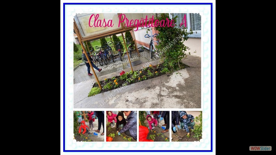 _SĂPTĂMÂNA VERDE_ - 26.04.2023 (File responses)_00011