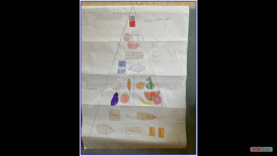 _SĂPTĂMÂNA VERDE_ - 26.04.2023 (File responses)_00020