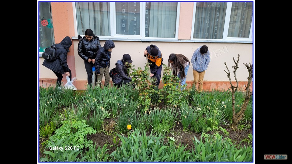 _SĂPTĂMÂNA VERDE_ - 26.04.2023 (File responses)_00027