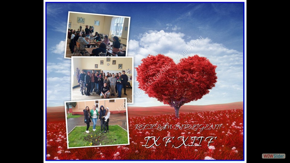 _SĂPTĂMÂNA VERDE_ - 26.04.2023 (File responses)_00029