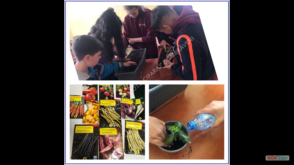 _SĂPTĂMÂNA VERDE_ - 26.04.2023 (File responses)_a (7)