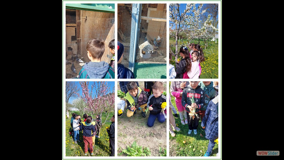 Săptămâna verde -27.04.2023_00020